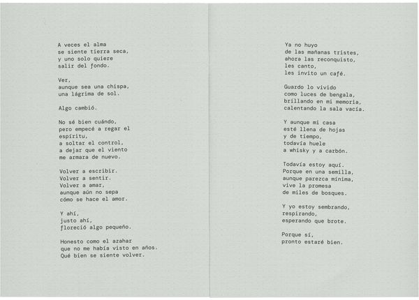 pronto estaré bien | journal